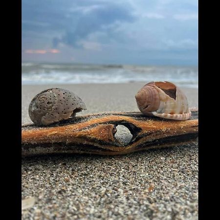Cocoa, Beach House Dış mekan fotoğraf