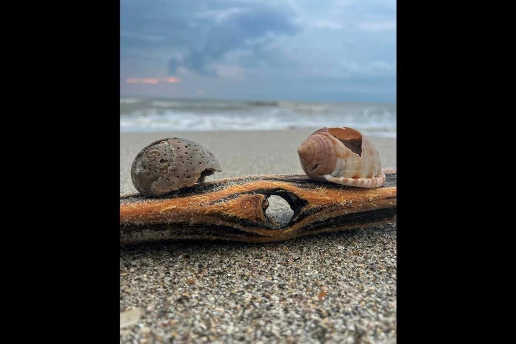 Cocoa, Beach House Dış mekan fotoğraf