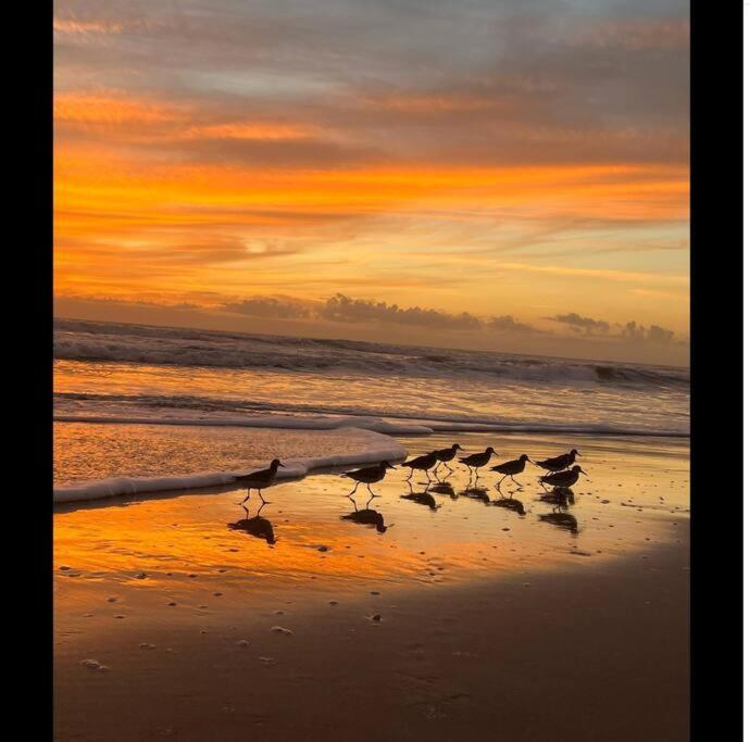 Cocoa, Beach House Dış mekan fotoğraf